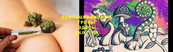 винт Арсеньев