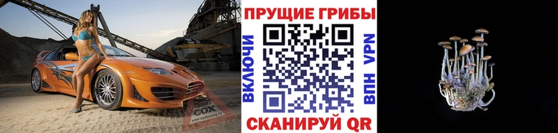 Псилоцибиновые грибы мицелий  закладки  Славянск-на-Кубани 