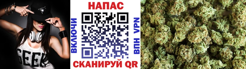 MEGA   Славянск-на-Кубани  Бошки марихуана Amnesia 